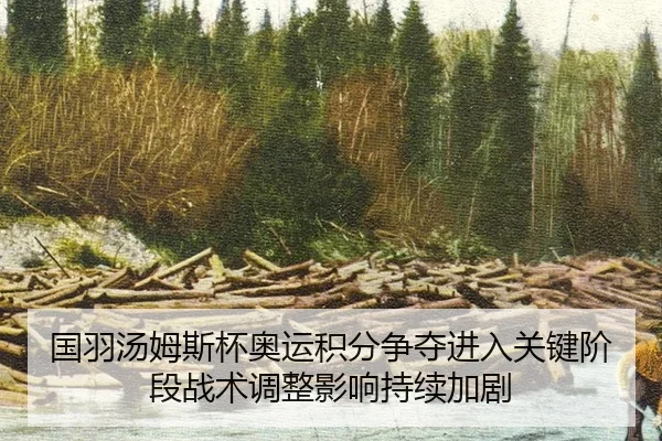 国羽汤姆斯杯奥运积分争夺进入关键阶段战术调整影响持续加剧
